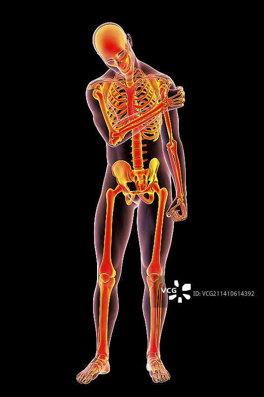 肩部疼痛插画图片素材