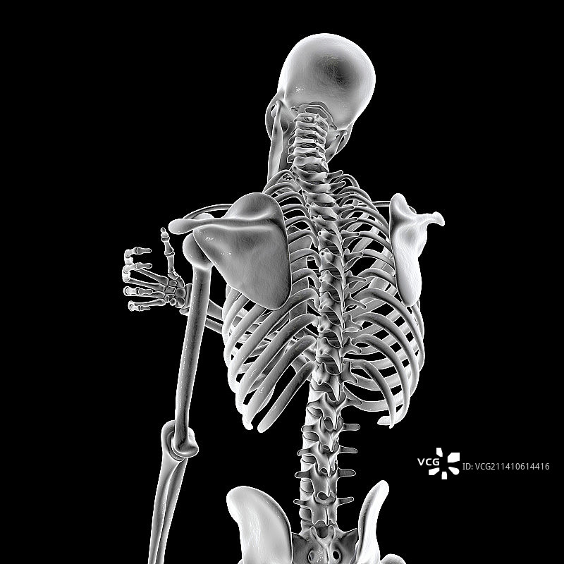 肩部疼痛插画图片素材