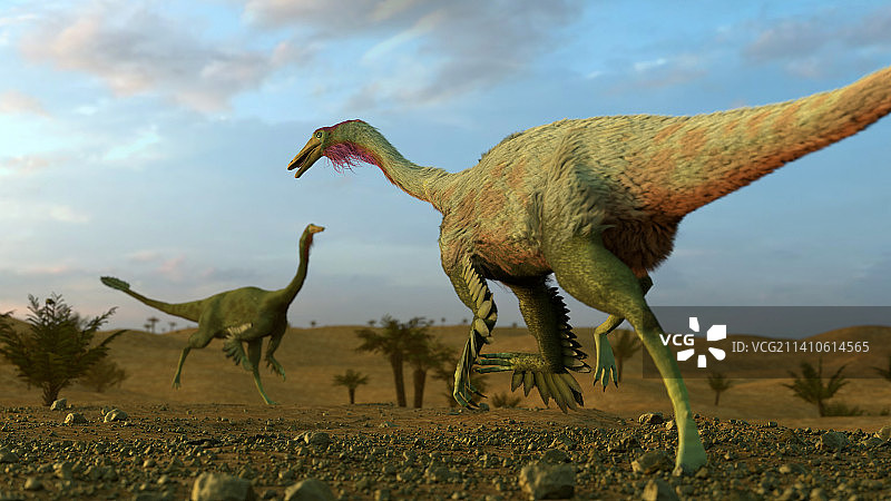 似鸡龙恐龙图图片素材