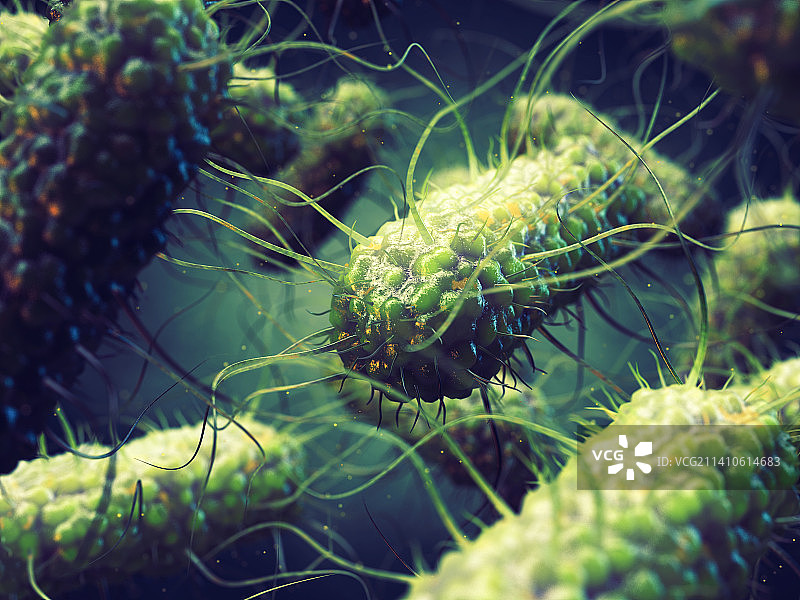 沙门氏菌插画图片素材