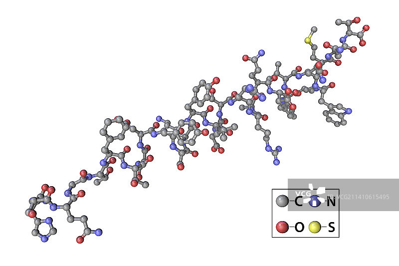 胰高血糖素激素分子插画图片素材