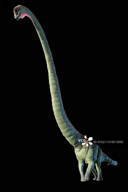 马门溪龙艺术作品图片素材