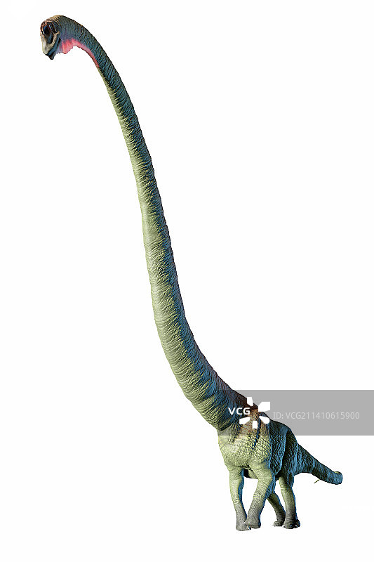 马门溪龙艺术作品图片素材