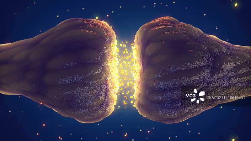 神经突触示意图图片素材