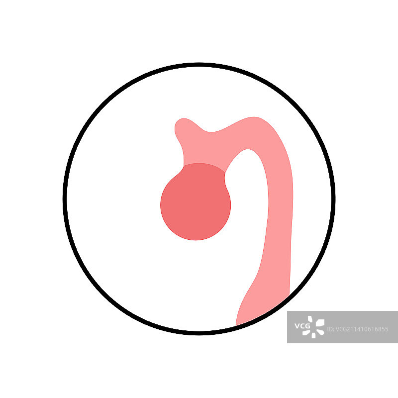 松果体插图图片素材