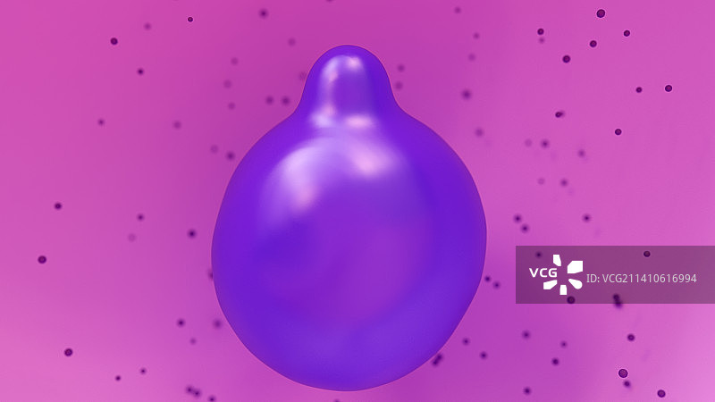 单倍体配子融合概念图图片素材