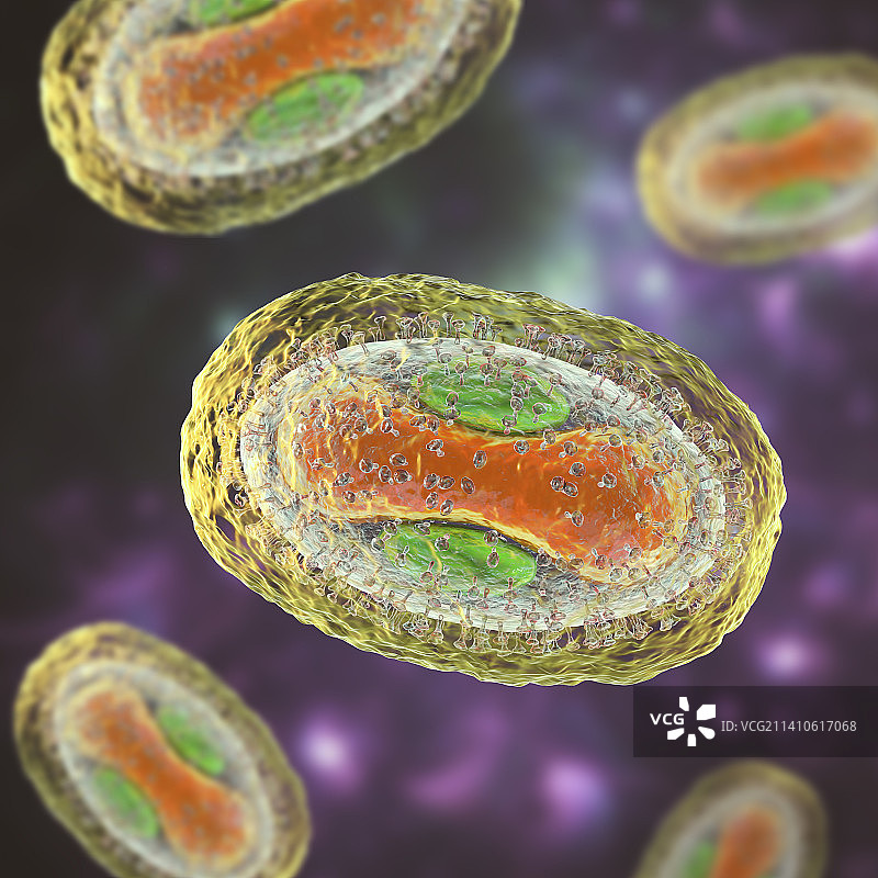 猴痘病毒颗粒图图片素材