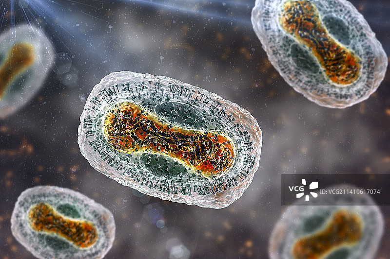 猴痘病毒颗粒图图片素材