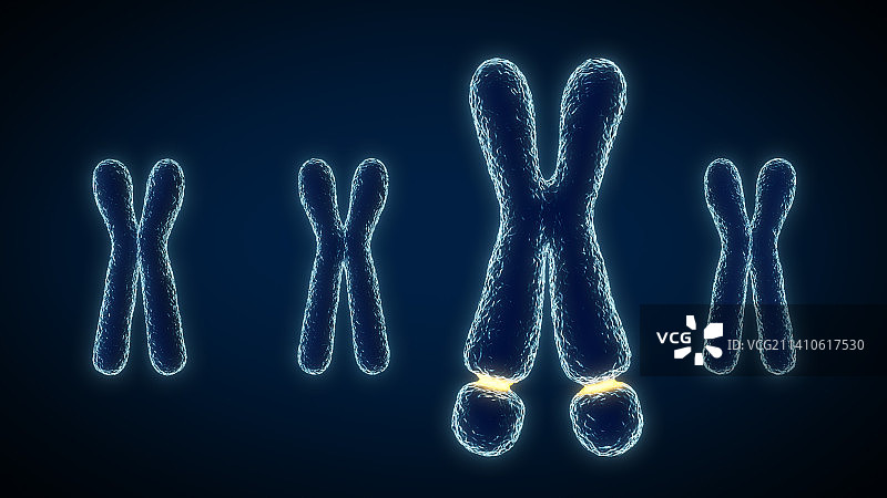 脆弱X染色体图示图片素材
