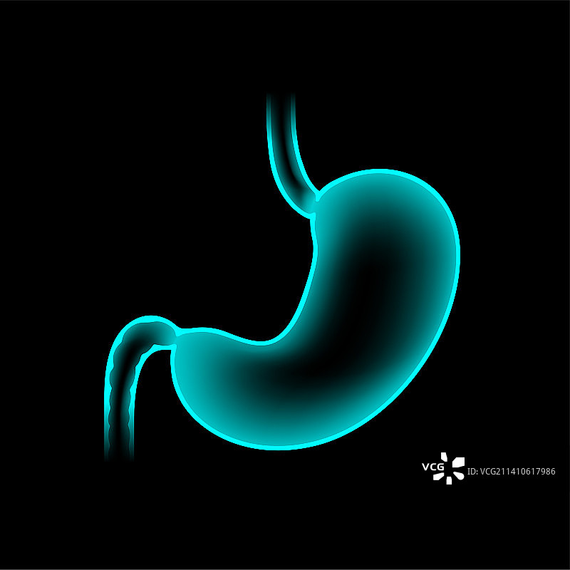 胃、插图图片素材