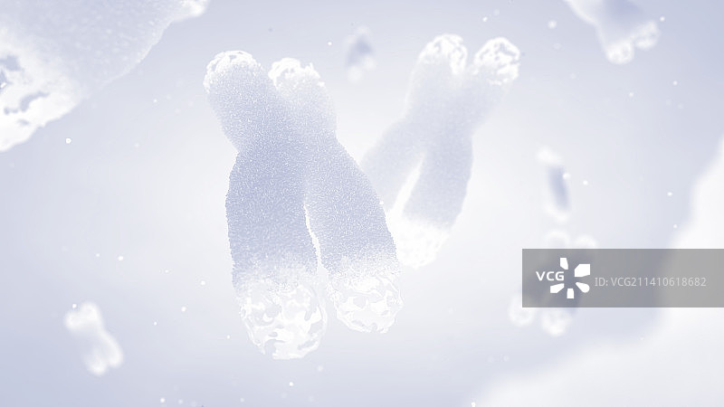 带有端粒的染色体，图示图片素材