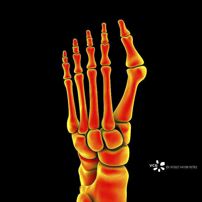 拇囊炎插图图片素材