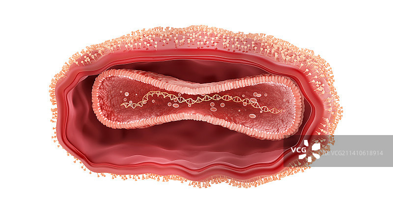 猴痘病毒插图图片素材