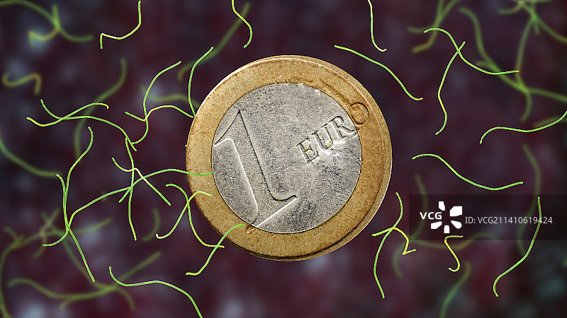 壮丽硫珠菌与1欧元硬币图片素材