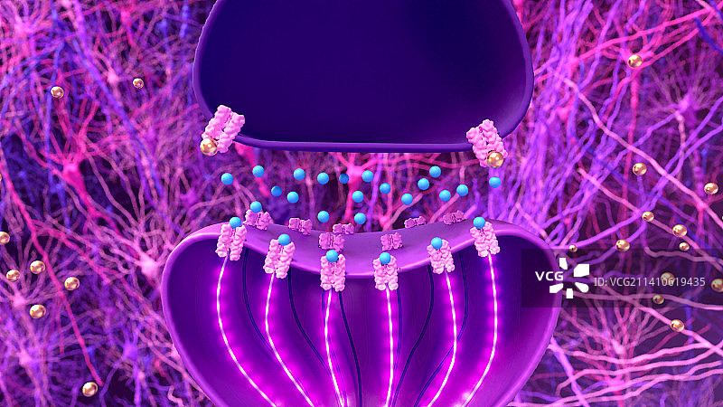 神经突触示意图图片素材