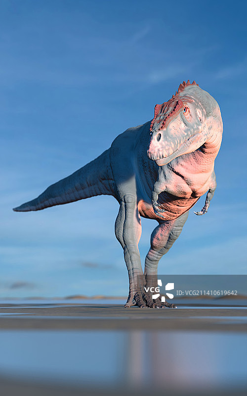 梅拉克巨龙艺术作品图片素材