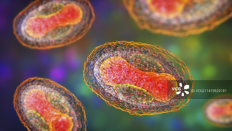 传染性软疣病毒图示图片素材