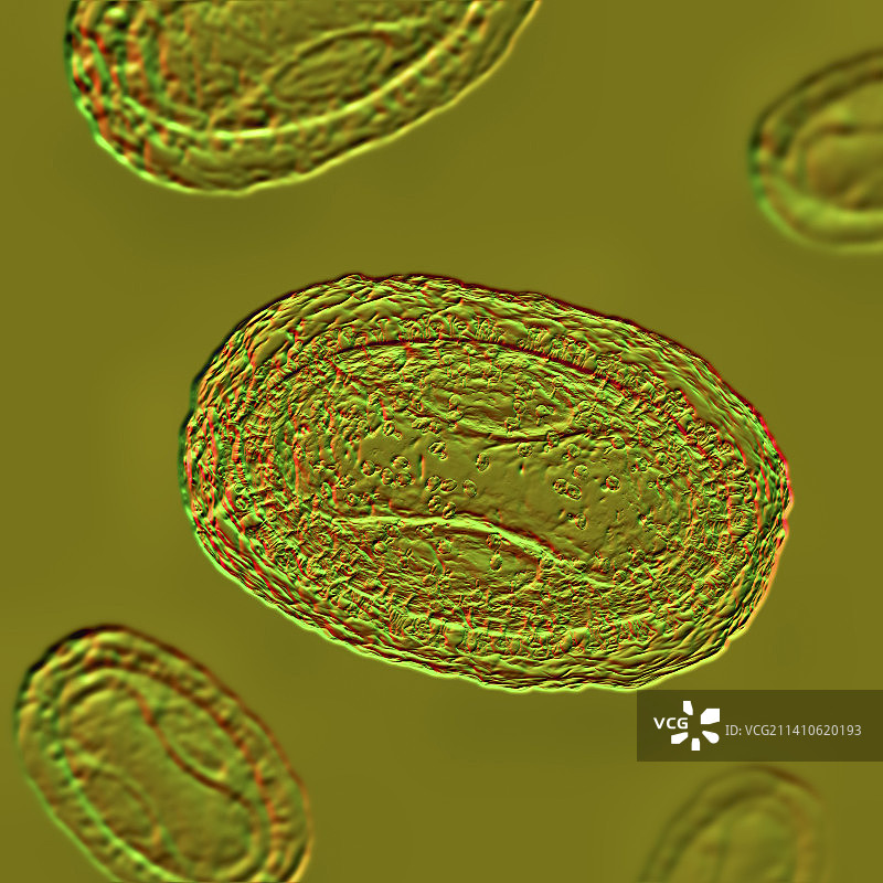 猴痘病毒颗粒图图片素材