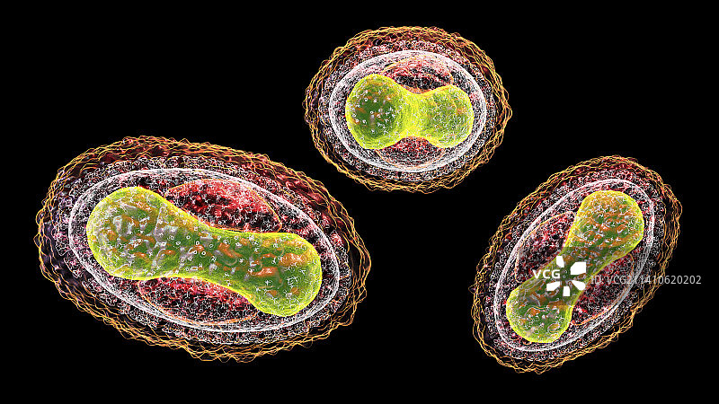天花病毒，图示图片素材