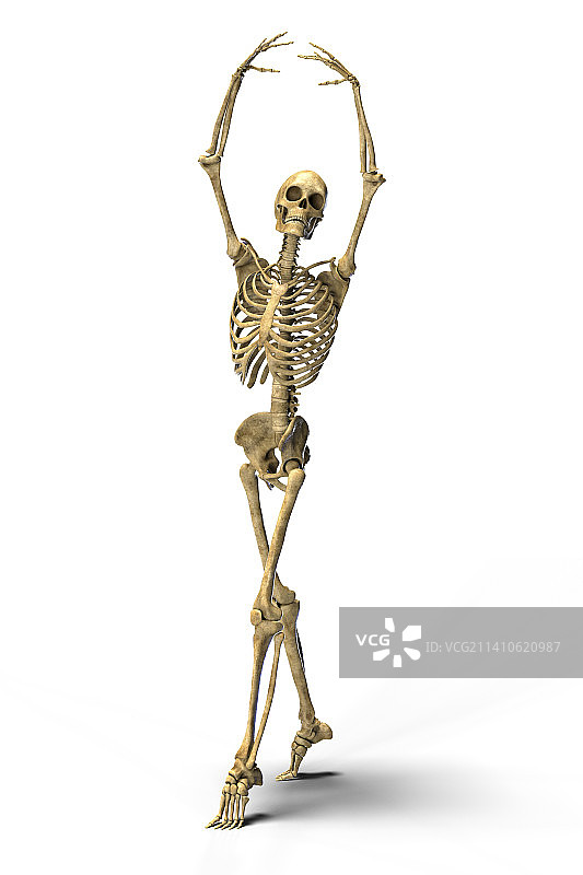 跳舞的骷髅插画图片素材