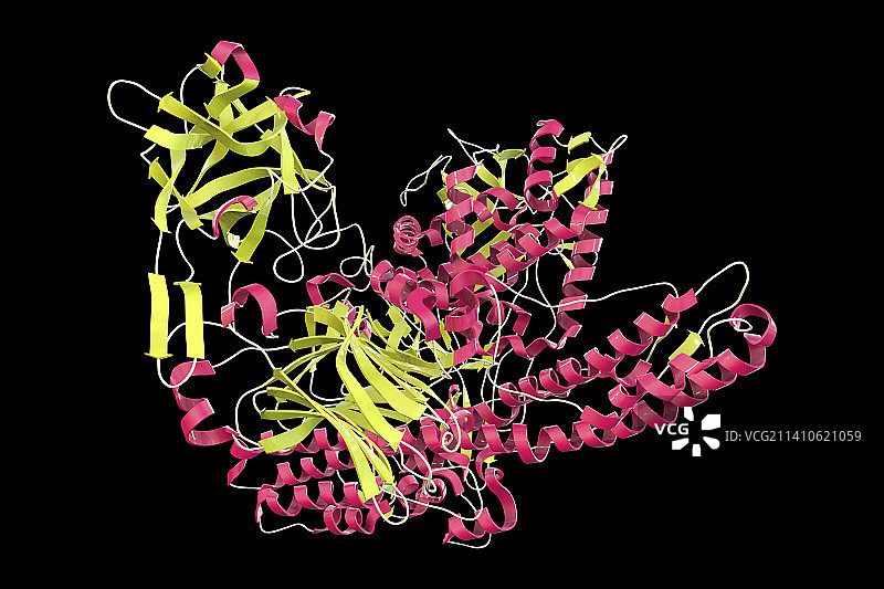 破伤风神经毒素分子图图片素材