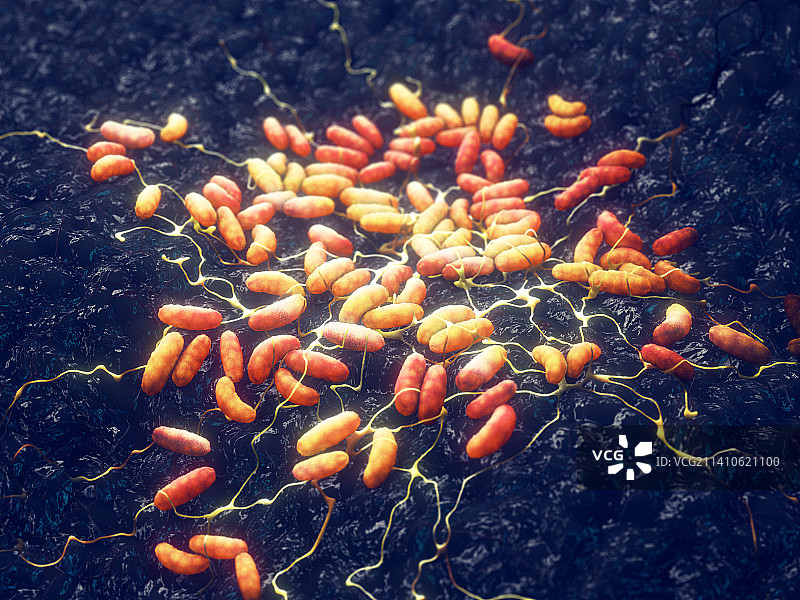 鼠疫耶尔森菌细菌图图片素材