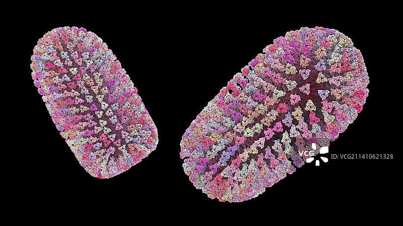 莫科拉病毒插画图片素材