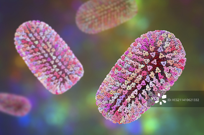 莫科拉病毒插画图片素材