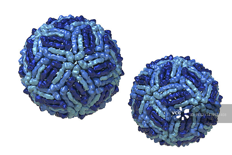 西尼罗河病毒颗粒插图图片素材