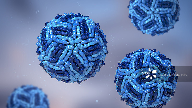 西尼罗河病毒颗粒插图图片素材
