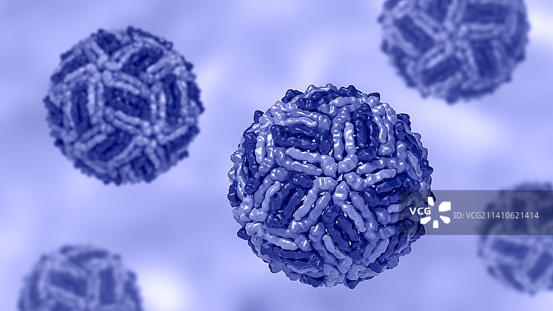 西尼罗河病毒颗粒插图图片素材