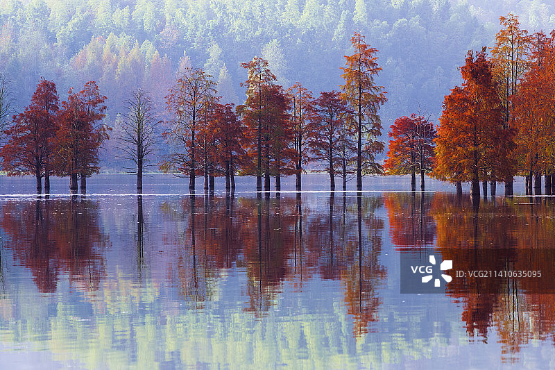 《奇墅湖秋色》图片素材