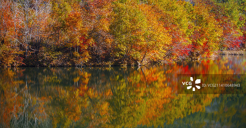 秋天的午后图片素材