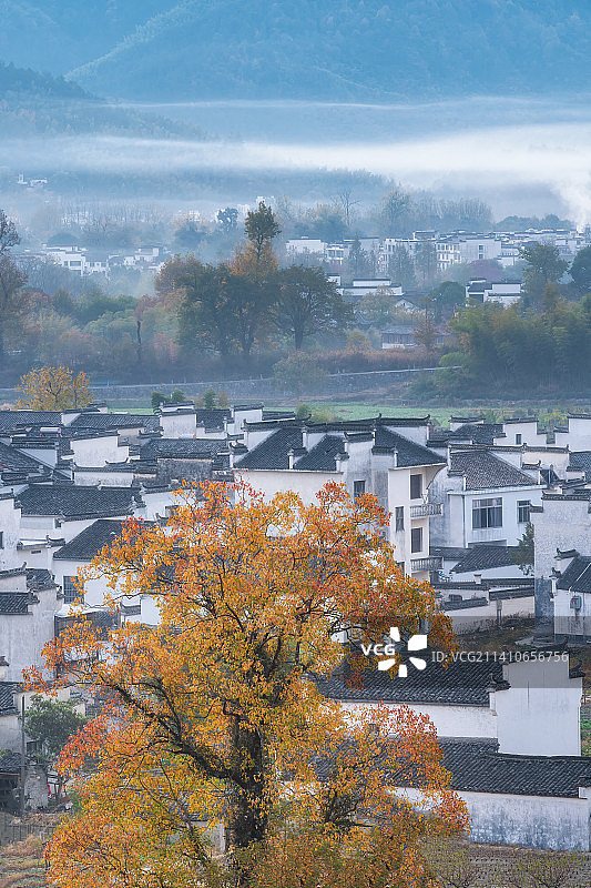 安徽旅游皖南古村落徽派建筑卢村秋季风光图片素材