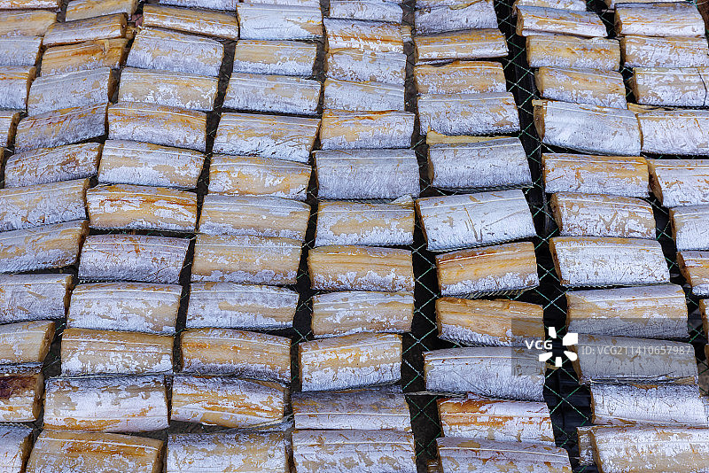 浙江东海-带渔段图片素材