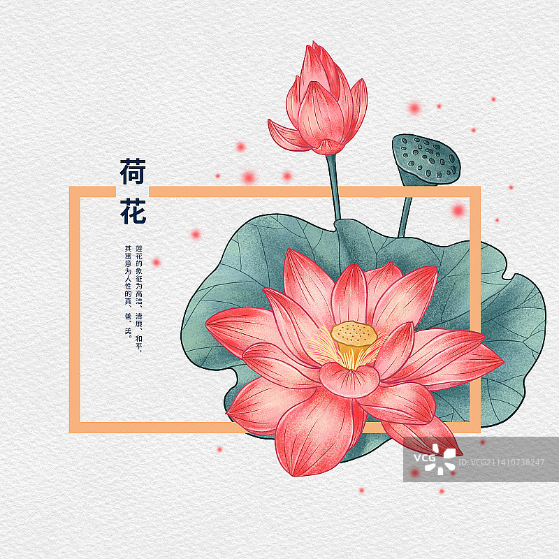 噪点扁平风十二月花 - 6月荷花图片素材