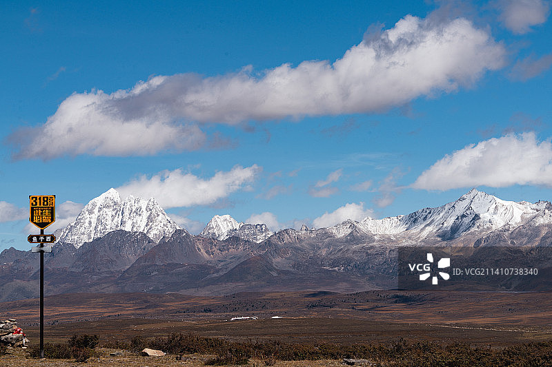 鱼子西图片素材