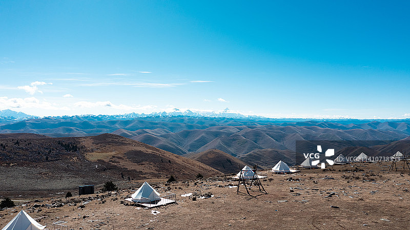 鱼子西图片素材