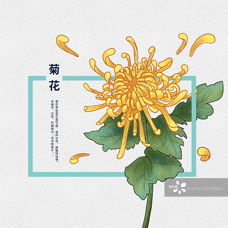 噪点扁平风十二月花 - 9月菊花图片素材
