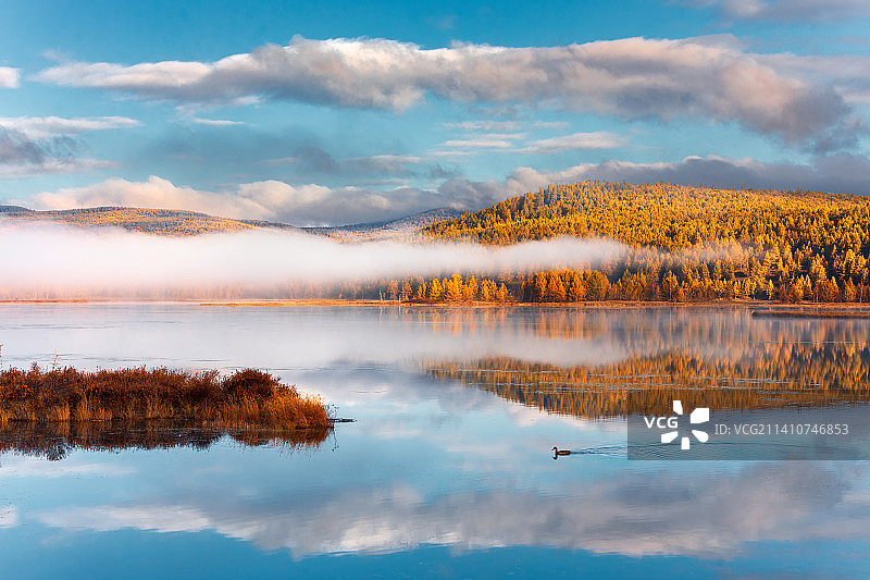 内蒙古阿尔山杜鹃湖秋色图片素材
