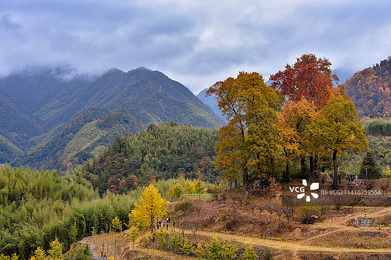 杭州临安指南村秋景图片素材