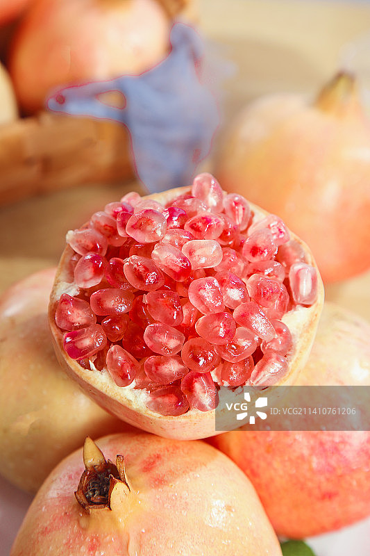 浅底上的蒙自石榴图片素材