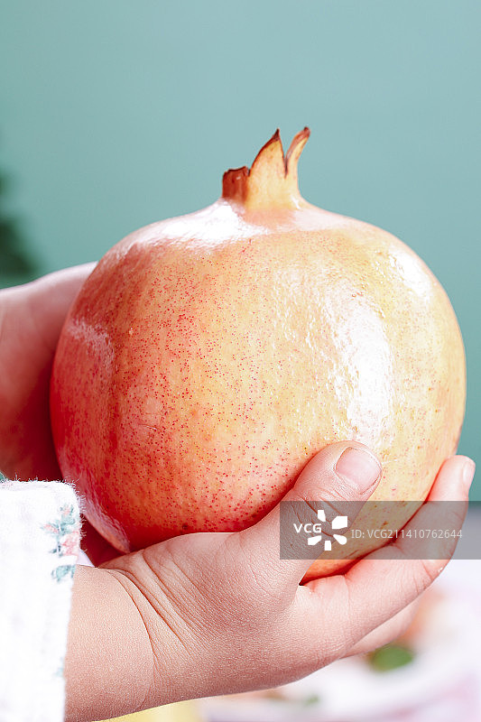 浅底上的蒙自石榴图片素材