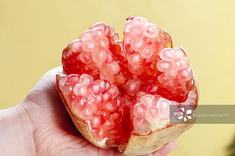 浅底上的蒙自石榴图片素材