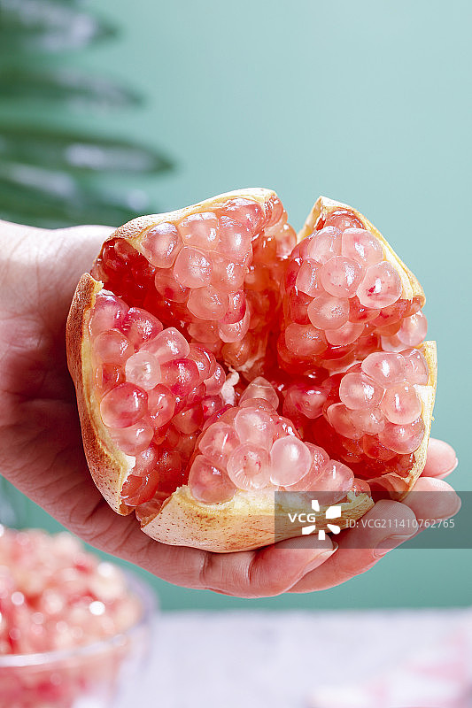 浅底上的蒙自石榴图片素材