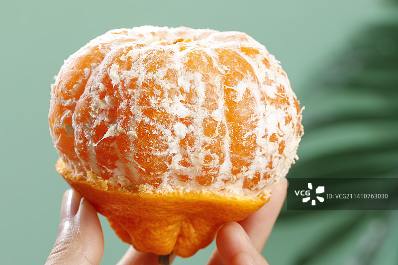 深底上的丑橘图片素材