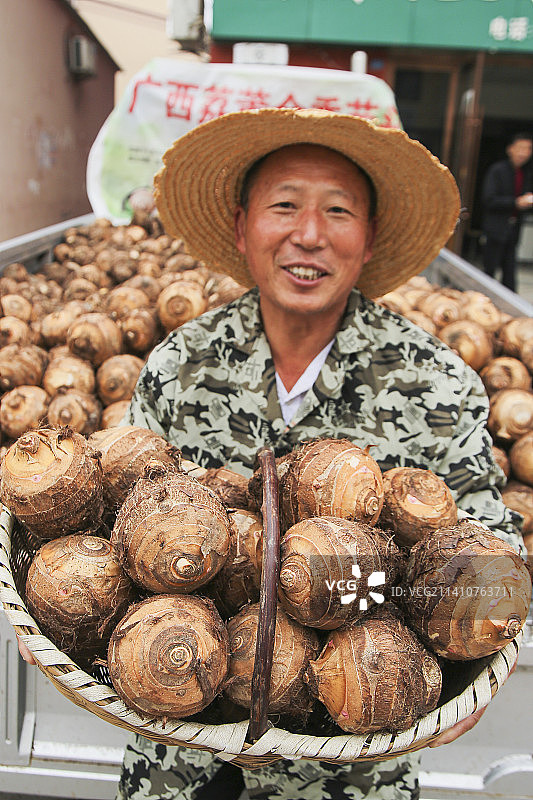 大片荔浦芋头图片素材