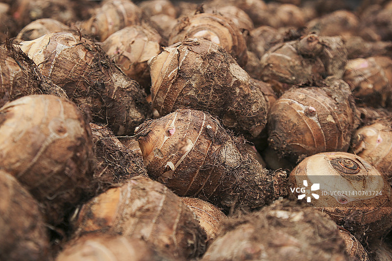 大片荔浦芋头图片素材