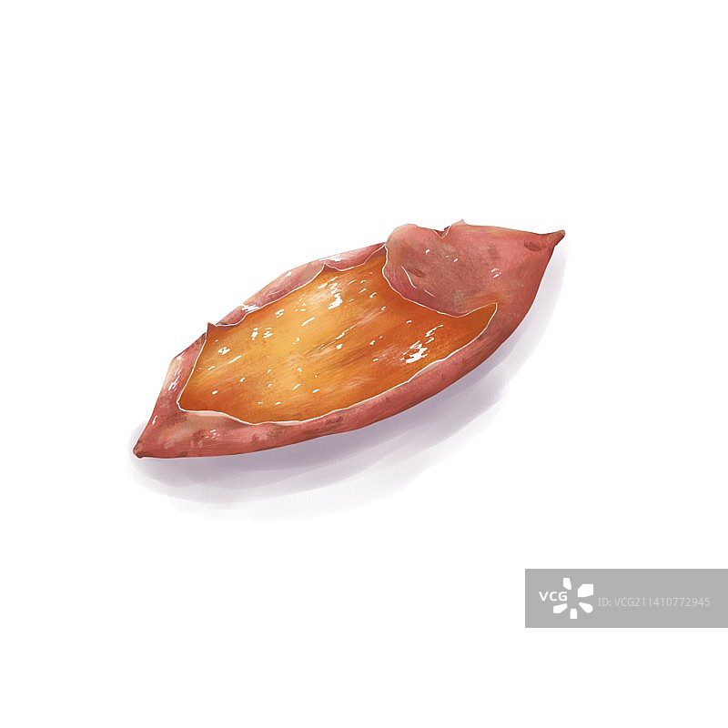 白色背景下的红薯特写镜头图片素材