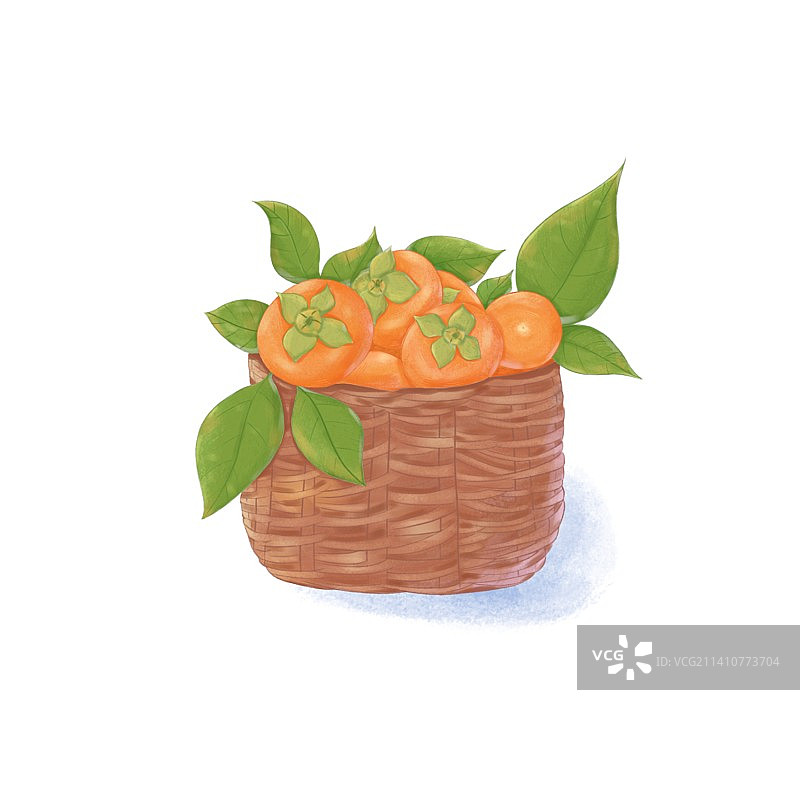 柿子插画图片素材